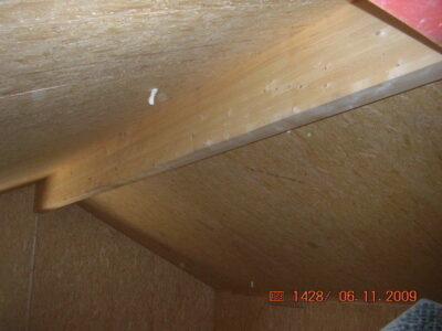 SIPs Extension to Farm House, Langbar