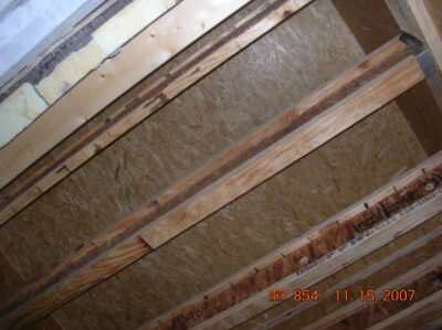 SIPs Extension, Wold Haven Day Care