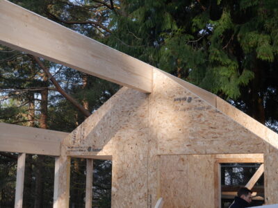 SIPs House in the Woods