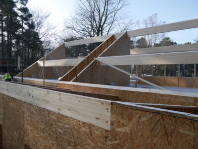 SIPs House in the Woods