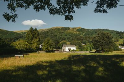 Plot Search (Home) photograph background